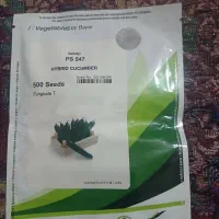 بذر خیار