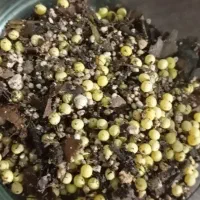 حلزون|خزنده|قروه, |دیوار