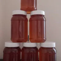 عسل بهاره ارگانیک