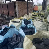 زغال کبابی صنعتی  (جنگلی )