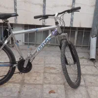 دوچرخه آساک دنده ای مدل الماس