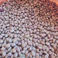 لوبیاچیتی کپسولی و گرد( عمده و خرده فروشی|خوردنی و آشامیدنی|اسلام‌شهر, شهرک قائمیه|دیوار