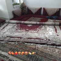 فرش ماشینی|فرش|زاهدان, |دیوار