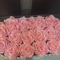 گل روبانی صورتی نو ۱۷ شاخه با باکس|گل مصنوعی|فولادشهر, C1|دیوار