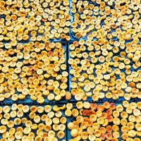 زرد الوی خشک و آلوچه خشک