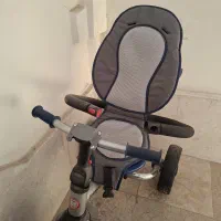فلامینگو اصل