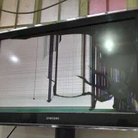 تلویزیون ضربه خورده|تلویزیون و پروژکتور|دزفول, |دیوار