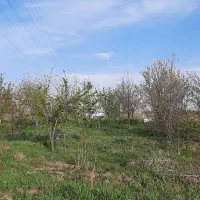 فروش زمین کشاورزی