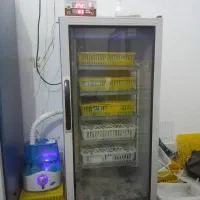 دستگاه جوجه کشی ۲۱۰ تایی