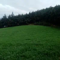 فروش زمین کشاورزی