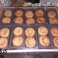 استخدام ویزیتور فعال در منطقه سلماس