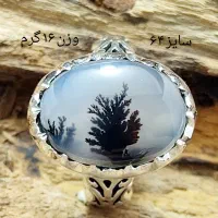 تعدادی انگشتر شجر با قیمت مناسب|جواهرات|تهران, آذربایجان|دیوار