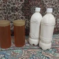 کشک گوسفندی