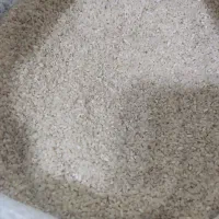 نیم دانه هاشمی