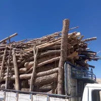 خرید و برش انواع چوب باغی|خدمات باغبانی و درختکاری|قائن, |دیوار