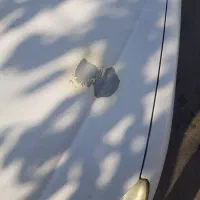 ۲۰۶ تیپ ۵ مدل ۹۳|خودرو سواری و وانت|تهران, جنت‌آباد جنوبی|دیوار