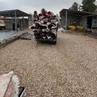 قالیشویی پدیده گویم