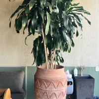 فروش کلی وسایل رستوران|کافیشاپ و رستوران|تهران, شیراز|دیوار