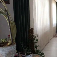 والان پرده ترک سبز سدری