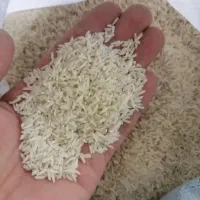 برنج طارم درجه یک
