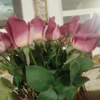 گل رز|گل مصنوعی|تهران, بهارستان|دیوار