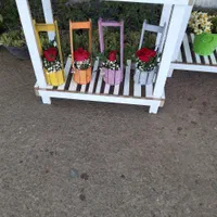 استند گل و گیاه زینتی