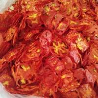 پودر گوجه خشک|خوردنی و آشامیدنی|ابرکوه, |دیوار