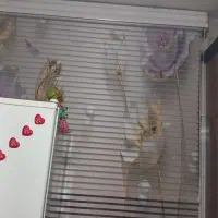دوعدد پرده درحدنو