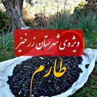 کد ۲۵ میلی طلای اپلیکیشن «میلی»