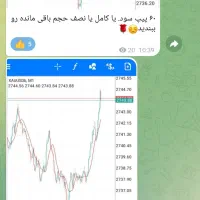 سیگنال طلا، وین ریت ۸۰ درصد، تست رایگان دو روزه