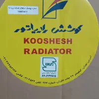 رادیاتور مگان 2000مارک کوشش
