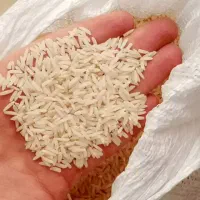 برنج هاشمی گیلان