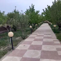 باغ