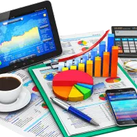 حسابدار مسلط به سپیدار