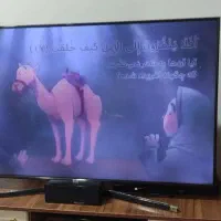 تلوزیون و سینما خانوادگی