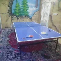 اجاره باغ ویلا استخرآب گرم|اجارهٔ کوتاه‌مدت ویلا و باغ|مشهد, چهاربرج|دیوار