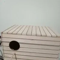لونه مخصوص گرینچیک