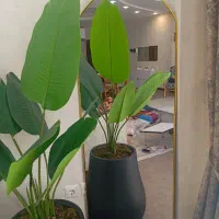 فروش آینه ی قدی کاملا نو|آینه|ایلام, |دیوار