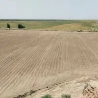 اجاره۱۶هکتارغرق آبی ۳۰ هکتار بارانی تحت فشار