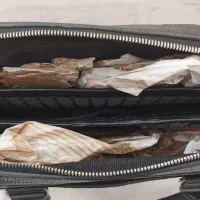 فروش یک عدد کیف|کیف، کفش، کمربند|ملایر, |دیوار