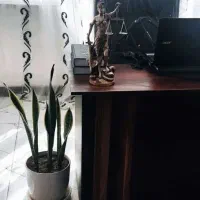 وکیل دادگستری