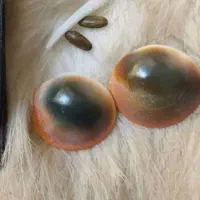 مهره اصل موجود است