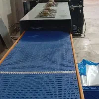 فروش-کارخانه-فعال-نیمه-صنعتی-تولید-لواش-و-تافتون