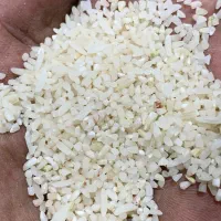 برنج هاشمی الموت تغذیه شده از چشمه اب معدنی وگل|خوردنی و آشامیدنی|قزوین, |دیوار