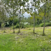 فروش زمین ۱۰۸۰ متری با پروانه ساخت  چماچاه|فروش زمین و ملک کلنگی|رشت, رشتیان|دیوار