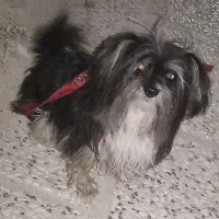 سرگرمی وفراغت