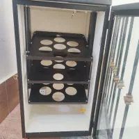 دستگاه جوجه کشی داتیکس 9