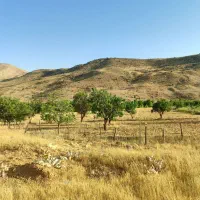فروش زمین چندمنظوره لب جاده پاتاوه-دهدشت|فروش زمین و ملک کلنگی|دهدشت, |دیوار