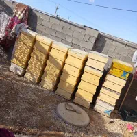 معاوضه کندو وطبق بازنبور