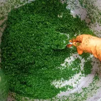 سبزی اماده|خوردنی و آشامیدنی|مشهد, امیر آباد|دیوار